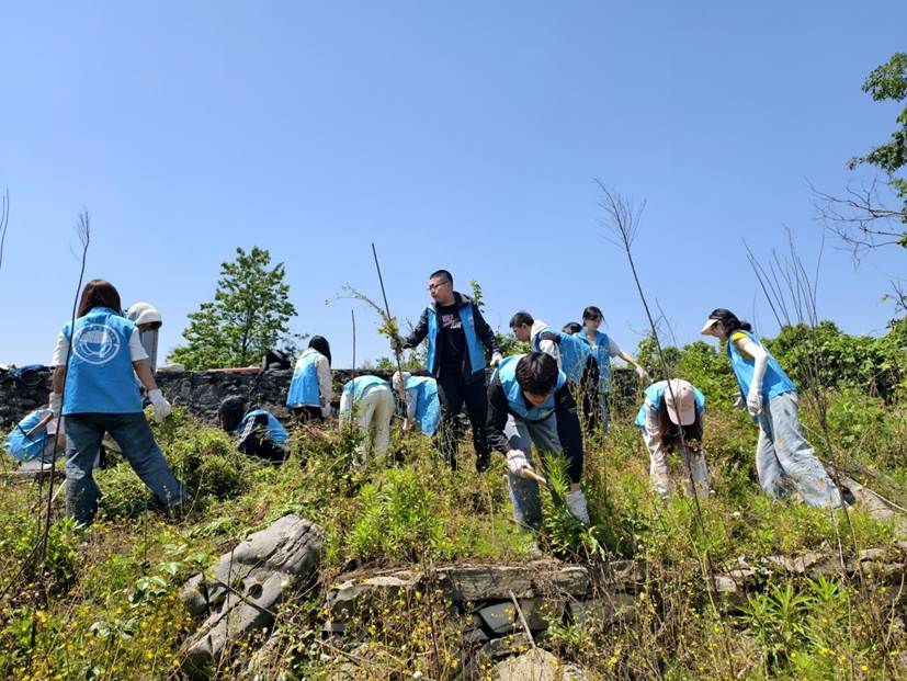 bevitor伟德员工在石漠化严重的撂荒地开展劳动2